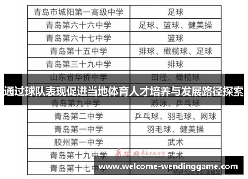 通过球队表现促进当地体育人才培养与发展路径探索