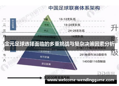 金元足球选择面临的多重挑战与复杂决策因素分析