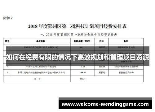 如何在经费有限的情况下高效规划和管理项目资源