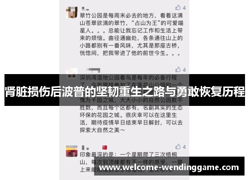 肾脏损伤后波普的坚韧重生之路与勇敢恢复历程