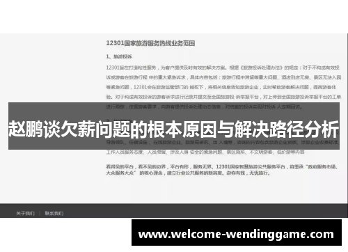赵鹏谈欠薪问题的根本原因与解决路径分析
