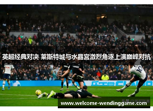英超经典对决 莱斯特城与水晶宫激烈角逐上演巅峰对抗