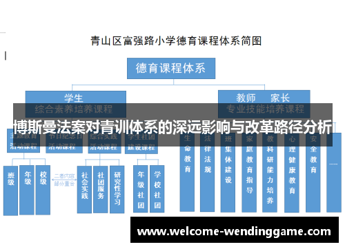 博斯曼法案对青训体系的深远影响与改革路径分析