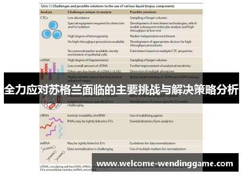 全力应对苏格兰面临的主要挑战与解决策略分析