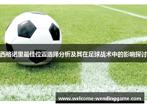西格诺里最佳位置选择分析及其在足球战术中的影响探讨