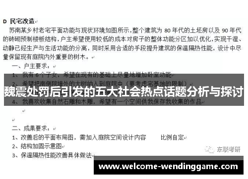 魏震处罚后引发的五大社会热点话题分析与探讨
