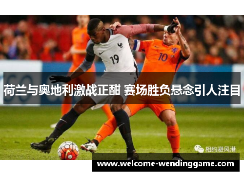 荷兰与奥地利激战正酣 赛场胜负悬念引人注目