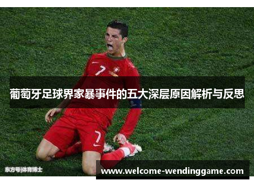 葡萄牙足球界家暴事件的五大深层原因解析与反思