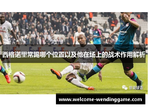 西格诺里常踢哪个位置以及他在场上的战术作用解析