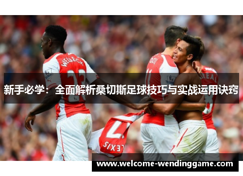 新手必学：全面解析桑切斯足球技巧与实战运用诀窍