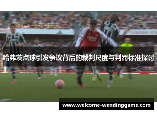 哈弗茨点球引发争议背后的裁判尺度与判罚标准探讨
