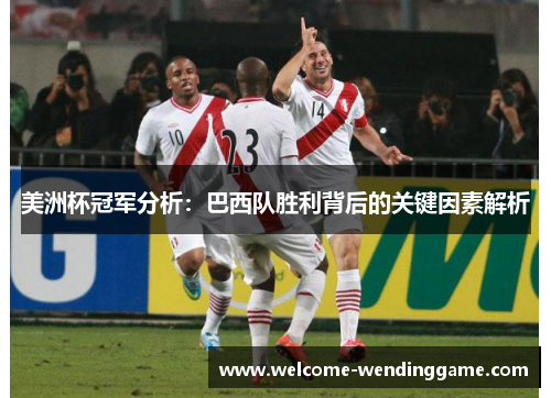 美洲杯冠军分析：巴西队胜利背后的关键因素解析