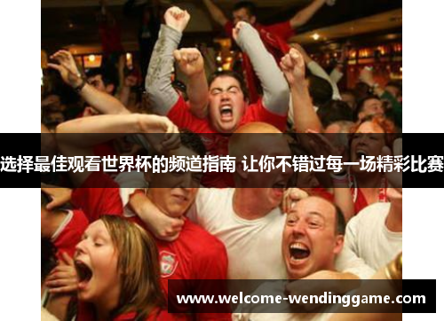 选择最佳观看世界杯的频道指南 让你不错过每一场精彩比赛