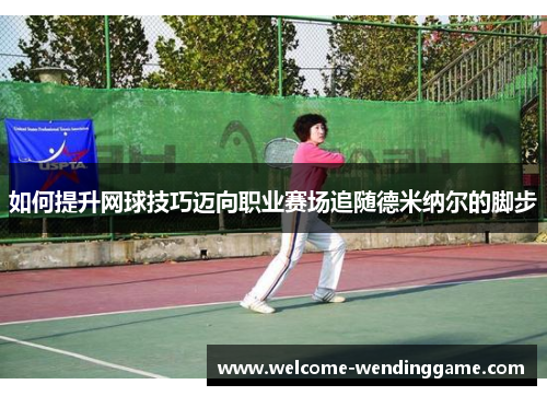 如何提升网球技巧迈向职业赛场追随德米纳尔的脚步