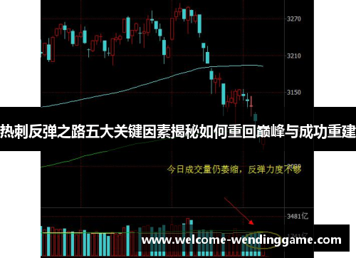热刺反弹之路五大关键因素揭秘如何重回巅峰与成功重建