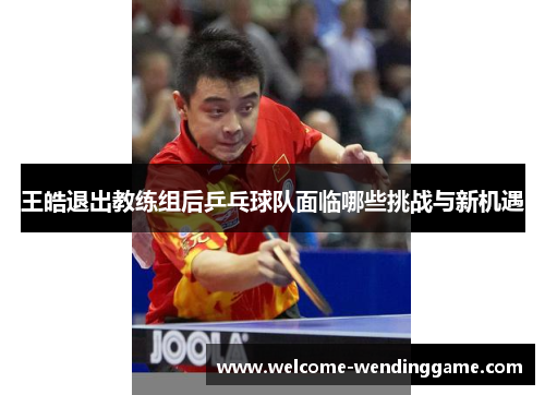 王皓退出教练组后乒乓球队面临哪些挑战与新机遇