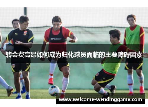 转会费高昂如何成为归化球员面临的主要障碍因素