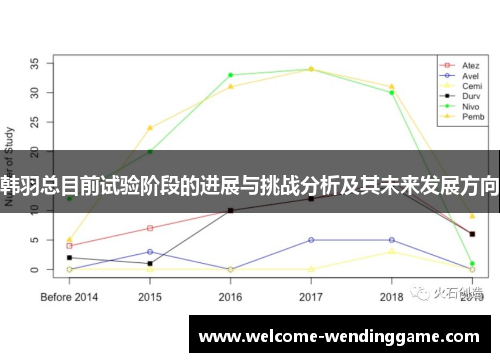 韩羽总目前试验阶段的进展与挑战分析及其未来发展方向